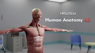 Explore the Human Body in Virtual Reality with Irusu VR Anatomy App [upl. by Berton383]