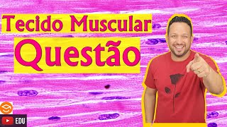 Questão  Tecido Muscular  Histologia Animal [upl. by Brill]