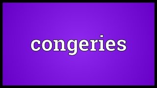 Congeries Meaning [upl. by Maon]