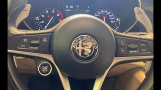 Alfa Romeo Giulia Paddle Shifter Installation [upl. by Lobiv]