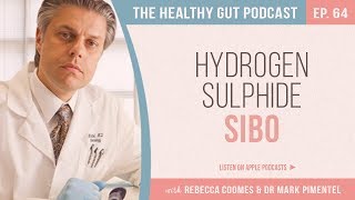 New Hydrogen Sulphide SIBO with Dr Mark Pimentel and Rebecca Coomes  Ep 64 [upl. by Marrilee]