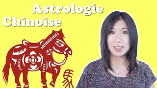 Signe Cheval  Quel est son sens dans la culture chinoise  Astrologie chinoise 生肖马 [upl. by Irtimd661]