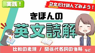 【2文英文読解】一緒に読んでみよう！比較表現の使い方、関係代名詞の省略など065 [upl. by Aysahc]