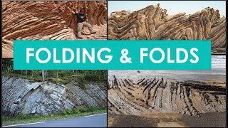 Folding  Folds [upl. by Drhcir]