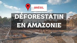 DÉFORESTATION EN AMAZONIE CAUSES CONSÉQUENCES FRANÇA [upl. by Tepper213]