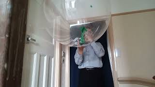 Hows about this B2P a small mouse ear balloon in a large BoBo balloon BANG [upl. by Aihsiym]