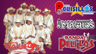 Pequeños Musical Banda Cuisillos Pelillos  Bandas Viejitas Pero Bonitas Mix Romanticas Movidas [upl. by Lladnek]