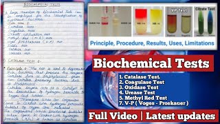 Biochemical Tests  Catalase Coagulase Citrate utilization Indole Oxidase Methyl Red Urease [upl. by Bala]