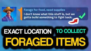 Collect FORAGED ITEMS All Foraged Items Locations in Fortnite [upl. by Eagle]