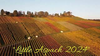 Herbstzeit am Weinberg Kleinaspach [upl. by Ahsinut]