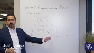 Your Guide to the Basics of Workers’ Compensation amp Claims [upl. by Manly282]