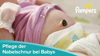 Pflege der Nabelschnur bei Babys und Neugeborenen  Pampers [upl. by Erodaeht]