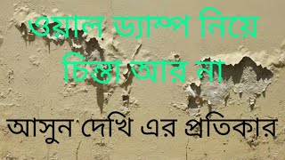 দেয়ালে লোনা থেকে মুক্তির উপায় How to solved wall dampcreativityroy [upl. by Nanaek549]