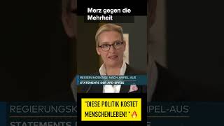 quotDIESE POLITIK KOSTET MENSCHENLEBENquot 🔥 Reichelt amp Weidel scharf gegen Merz satire [upl. by Bivins669]