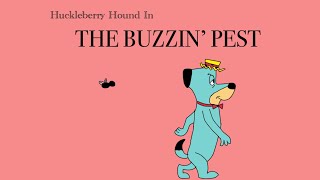 Huckleberry Hound Plush The Buzzin’ Pest [upl. by Zorana596]