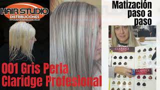 Color Gris Perla 001 Claridge Profesional  colorimetria grises peluqueria tintes cursosonline [upl. by Aretta]