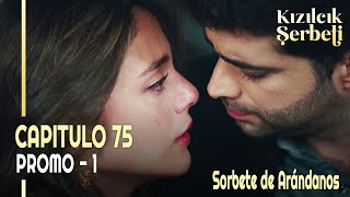 Kızılcık Şerbeti  Sorbete de Arándanos  Capitulo 75 en Español  novelasturcas seriesturcas [upl. by Persas]