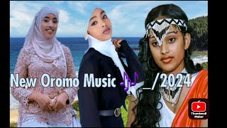 New Oromo Music Elemoo Abdushakuur 2024 [upl. by Sihtam]