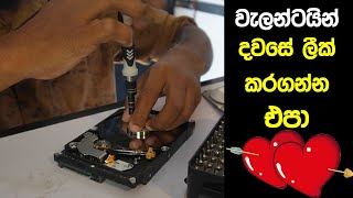 How to destroy HDD DATA  වැලන්ටයින් දවසේ ලීක් කරගන්න එපා [upl. by Airdnola]