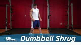 Dumbbell Shrug  Shoulder Exercise  Bodybuildingcom [upl. by Kolk]