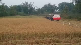 KUBOTA HARVESTA KING DC68G kalahandi viralvideo odisha [upl. by Ahseya355]