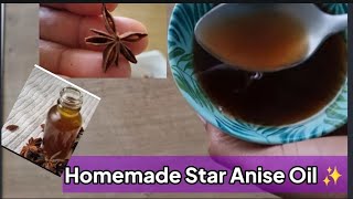 How to Make Star Anise Oil for Hair and Skin  health Benefits [upl. by Akiam]