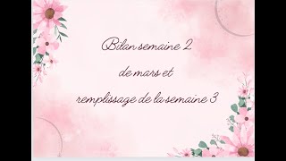 Bilan semaine 2 de mars et remplissage de la semaine 3 [upl. by Aisila]