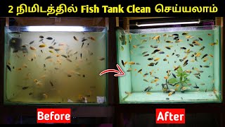 2 நிமிடத்தில் Fish Tank Clean செய்யலாம்  Easy Way To Clean Fish Tank  Cloning Aqua [upl. by Hoes346]