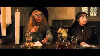 Hilarious Harry Potter Deleted Scene [upl. by Chernow]