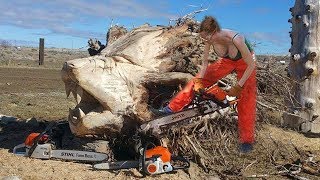 Wood Carving Skill and Techniques Amazing Fastest Wood Carving Skills With Chainsaw [upl. by Tillford]