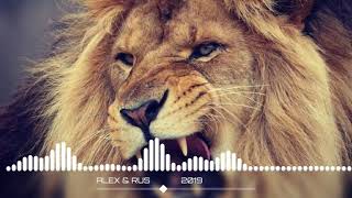 alex rus dikaya lvica music version hd mp3 [upl. by Leiand647]