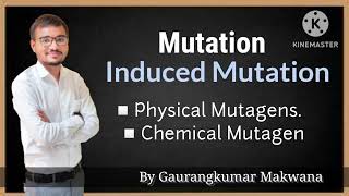 Induced MutationPhysical Mutagens Chemical Mutagens amp Biological Mutagens [upl. by Penman]