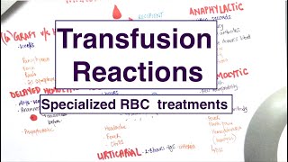 Blood Transfusion Reactions  Specialised RBC treatments  USMLE  MCQs [upl. by Spence]