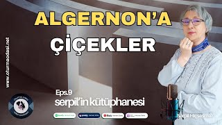 Algernona Çiçekler [upl. by Ika]