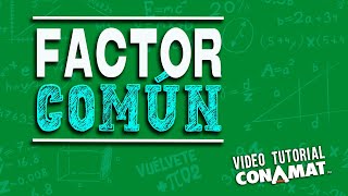 Factor común [upl. by Kilgore270]