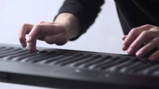 Introducing the Seaboard [upl. by Ainoek]