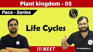 Plant Kingdom 05 l Life Cycles Class 11  NEET  PACE SERIES [upl. by Eellek]