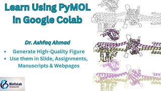 How to Use PyMOL for figure generation in Google Colab [upl. by Aiekam]