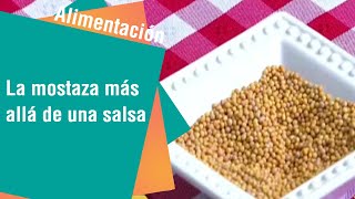 La mostaza más allá de una salsa  Alimentación Sana [upl. by Airda]