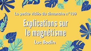 EXPLICATIONS SUR LE MAGNÉTISME  La petite vidéo du dimanche n°109 [upl. by Arikihs884]