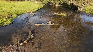 River Darent Drone [upl. by Htidirem87]