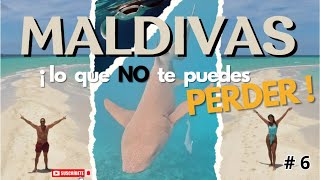 MALDIVAS ¿Que NO te puedes perder🏝️🌊 ¡Los MEJORES TOURS Low Cost maldives  Vlog MALDIVAS [upl. by Rozele606]