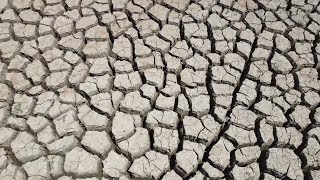 Sicilians deal so well with drought that tourists don’t notice a record dry year could alter that [upl. by Pedro397]