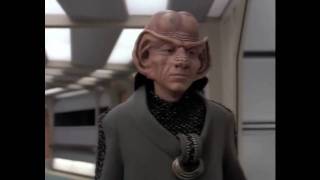 Stupid Ferengi  Star Trek TNG [upl. by Pontone844]