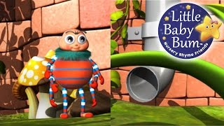 Incy Wincy Spider  LittleBabyBum  Nursery Rhymes for Babies ABCs and 123s  LBB [upl. by Leemaj]