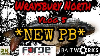 Carp Fishing  Wraysbury Vlog 5  NEW PB 2019 [upl. by Suciram]