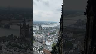 The insane view from Cologne Cathedral 🇩🇪 travel europe shorts [upl. by Socher]