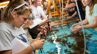 UNH Marine Biology Bootcamp [upl. by Madian]