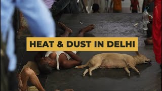 Heat amp Dust In Delhi  Artice 14 [upl. by Noach11]