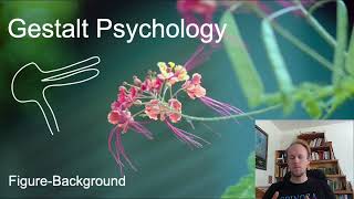 MerleauPonty Phenomenology of Nature Key Concepts part 6 gestalt psychology [upl. by Capwell903]